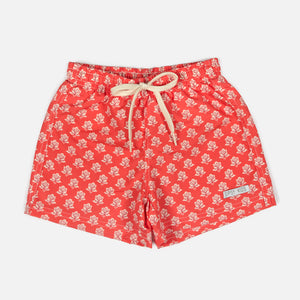 Boxer adulto INDIA