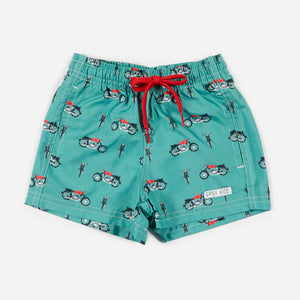 Boxer IMPALAS
