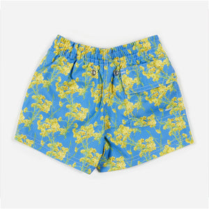 Boxer CADAQUÉS