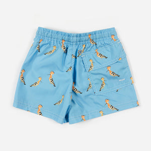 Boxer PUPUTS