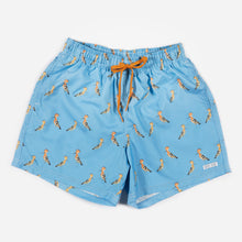 Boxer adulto PUPUTS