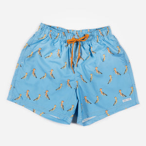 Boxer adulto PUPUTS