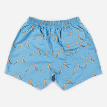 Boxer adulto PUPUTS