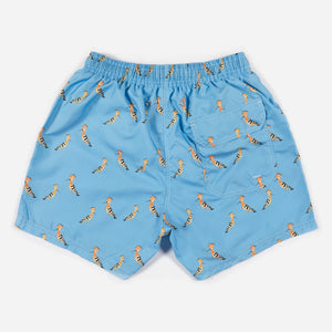 Boxer adulto PUPUTS
