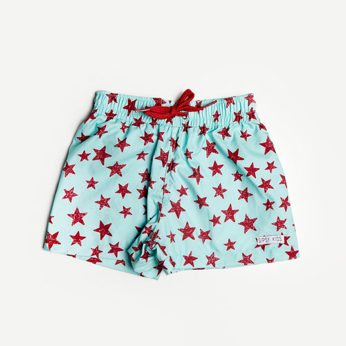 Boxer STARS