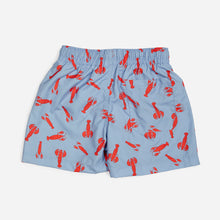 Boxer LOBSTER