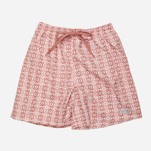 Boxer adulto FOSCA