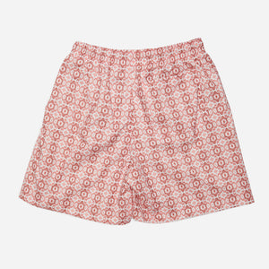 Boxer adulto FOSCA